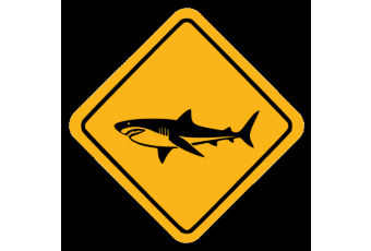 Детейлинг Центр Sharkdetail