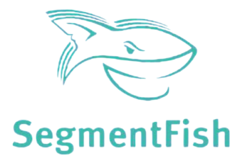Сегмент Фиш
