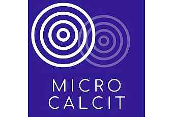 Микрокальцит