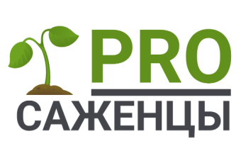 Питомник Просаженцы