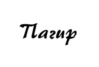 ООО "Пагир"