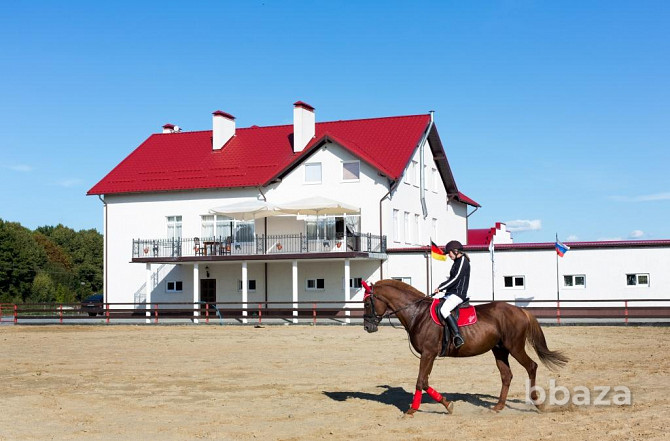 Продаётся действующий конно-спортивный комплекс «Беккер» Янтарный - photo 1