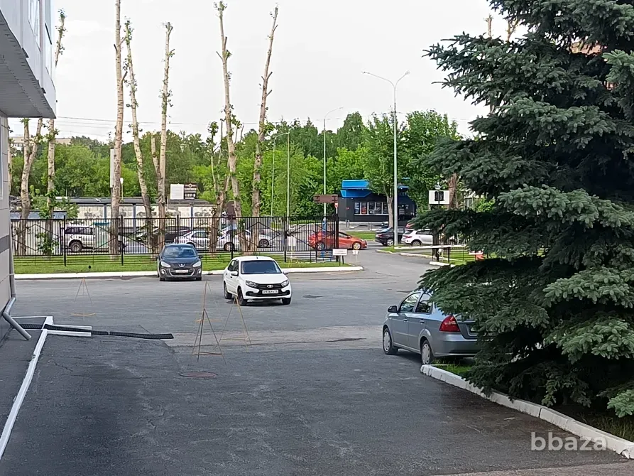 Сдам в аренду офис 37 м2 Тюмень - изображение 6