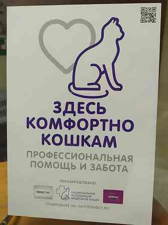 Ветеринарный кабинет, круглосуточный выезд ветеринарного врача на дом Екатеринбург
