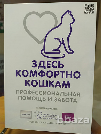 Ветеринарный кабинет, круглосуточный выезд ветеринарного врача на дом Екатеринбург - photo 2