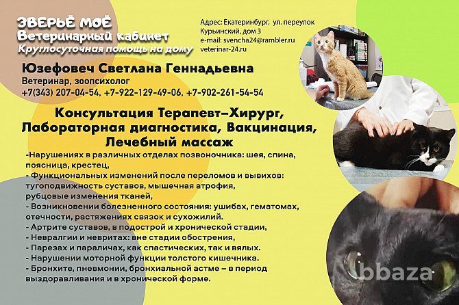 Ветеринарный кабинет, круглосуточный выезд ветеринарного врача на дом Екатеринбург - photo 1