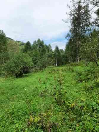 Участок 7.5 сот в горах Алтая у речки в дали от цивилизации рядом маральник Белокуриха