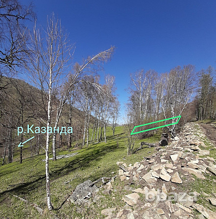 Участок 5 сот в Горном Алтае у речки в дали от цивилизации Белокуриха - photo 3
