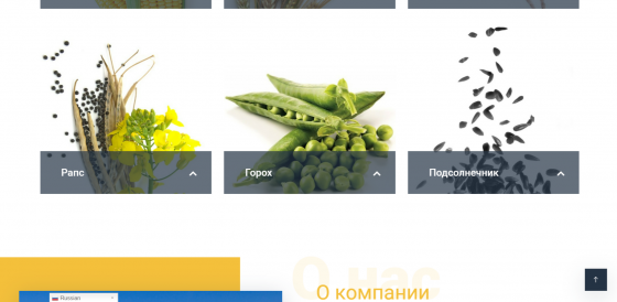 Сайт по продаже сельскохозяйственной продукции Москва