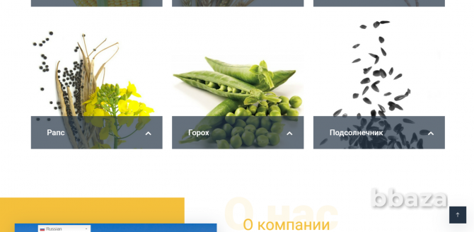 Сайт по продаже сельскохозяйственной продукции Москва - photo 3