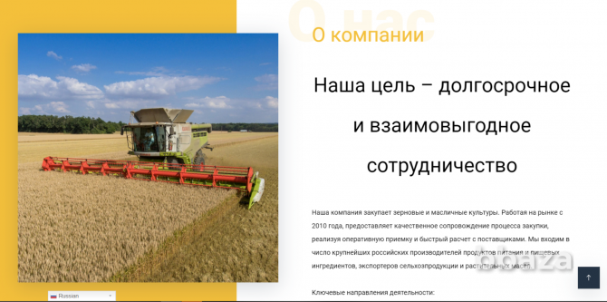 Сайт по продаже сельскохозяйственной продукции Москва - photo 4