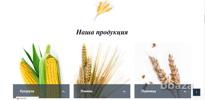 Сайт по продаже сельскохозяйственной продукции Москва - photo 2