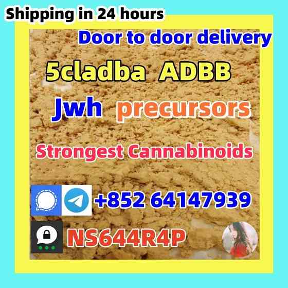 Powerful adbb precursor 5cladba raw materials cannabinoid for sale Новосибирск