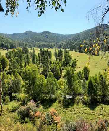 Территории в горах Алтая под горнолыжный комплекс с пантолечением, у речки. Белокуриха