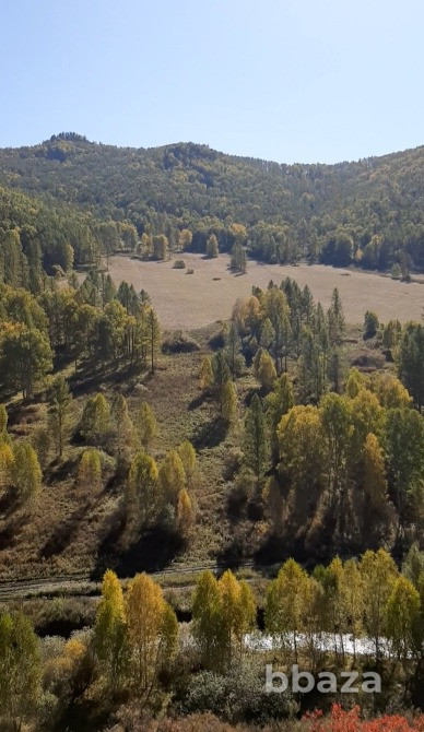 Территории в горах Алтая под горнолыжный комплекс с пантолечением, у речки. Белокуриха - изображение 8