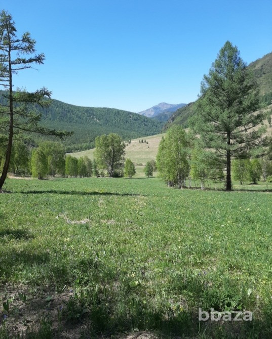 Территории в горах Алтая под горнолыжный комплекс с пантолечением, у речки. Белокуриха - изображение 10