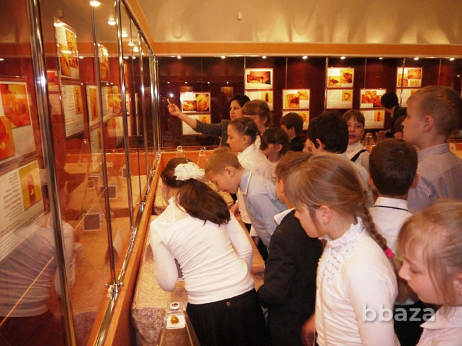 Передвижная выставка янтарных инклюзов Новосибирск - photo 7