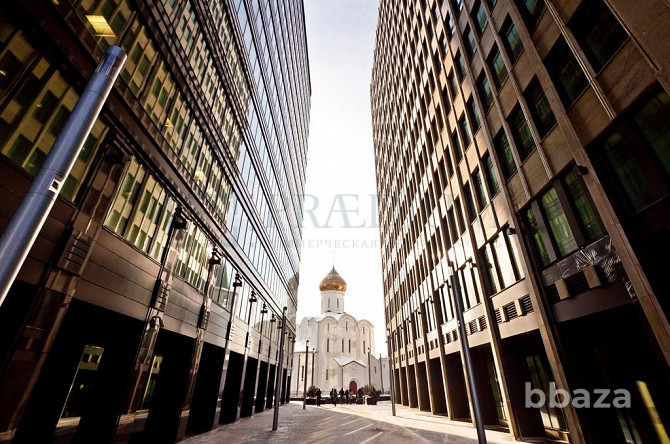 Сдается офисное помещение 542 м² Москва - photo 8