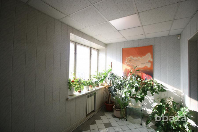 Сдается офисное помещение 33 м² Чехов - photo 5