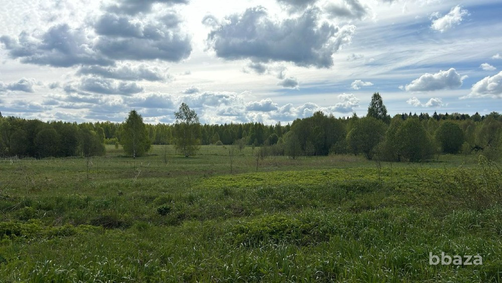 Продаю Земельный массив 6,2 га с/х, с перспективой перевода под ИЖС Солнечногорск - изображение 6