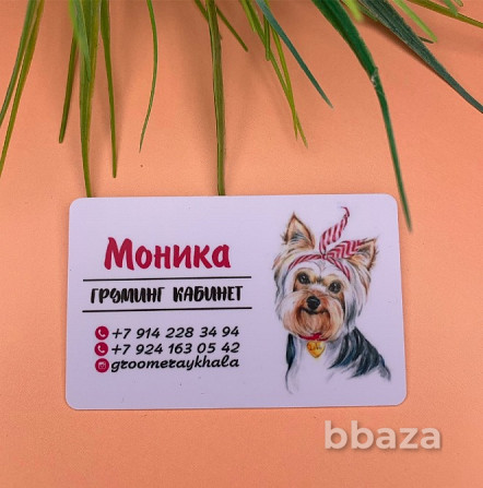 Пластиковые визитки, карты/внедрение систем лояльности/мобильные приложения Краснодар - photo 6