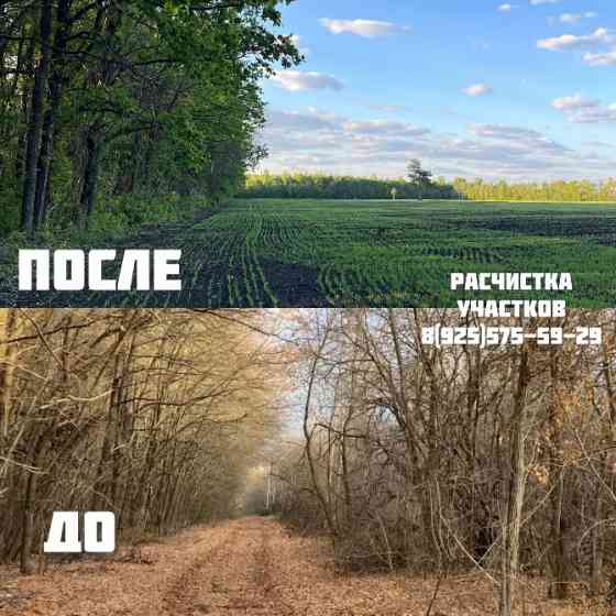 Расчистка участка от деревьев и кустарников Брянск