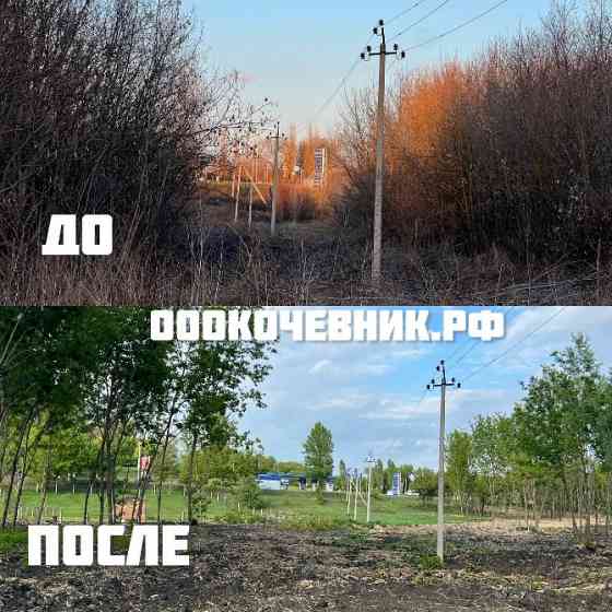 Расчистка участка от деревьев и кустарников Брянск