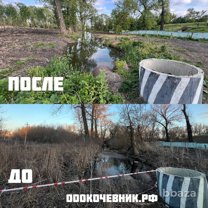 Расчистка участка от деревьев и кустарников Брянск - photo 6