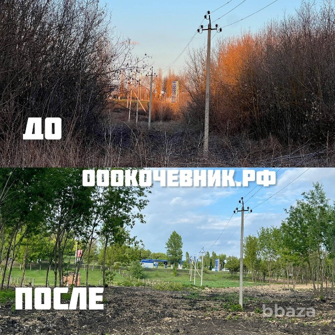 Расчистка участка от деревьев и кустарников Брянск - photo 4