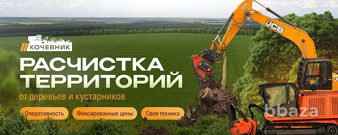 Расчистка участка от деревьев и кустарников Брянск - photo 1