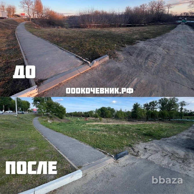 Расчистка участка от деревьев и кустарников Брянск - photo 5
