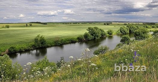 Продаю землю у реки Дон Липецк - изображение 6