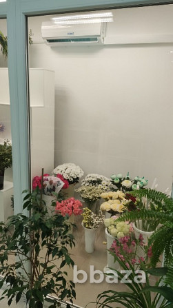 Продам Цветочный бизнес Ухта - photo 1