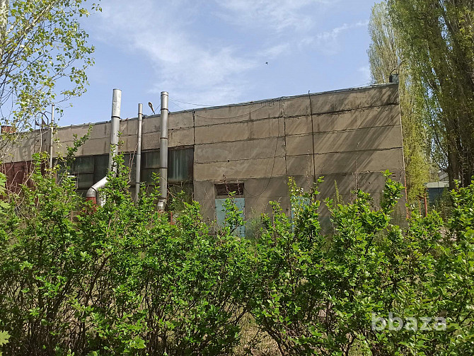 Продается здание 36611.2 м2 Борисоглебск - photo 5