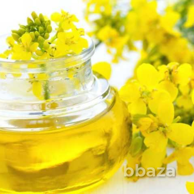 Рапсовое рафинированное дезодорированное масло от производителя Москва - изображение 8