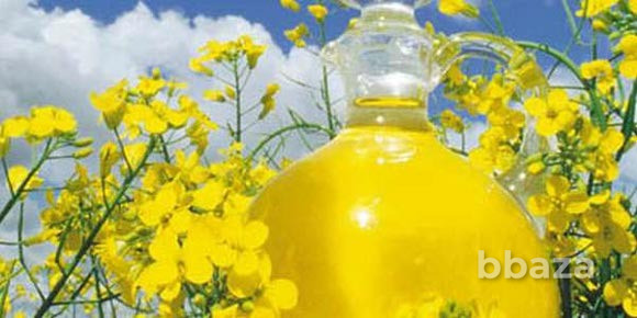 Рапсовое рафинированное дезодорированное масло от производителя Москва - изображение 7