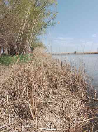 Рыболовная База, Автокемпинг на берегу реки в Дельте Волги Астрахань