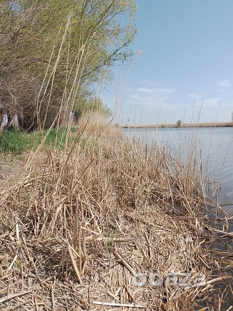 Рыболовная База, Автокемпинг на берегу реки в Дельте Волги Астрахань - photo 3