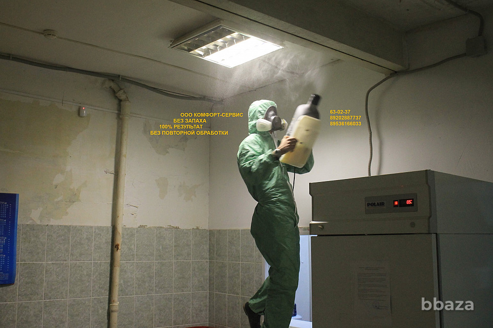 Уничтожение клопов и тараканов БЕЗ повторной обработки через 2 недели Орел - изображение 5