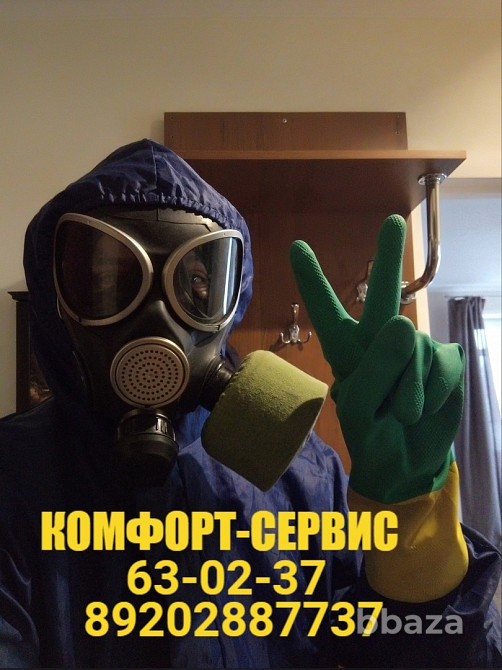 Уничтожение клопов и тараканов БЕЗ повторной обработки через 2 недели Орел - изображение 8