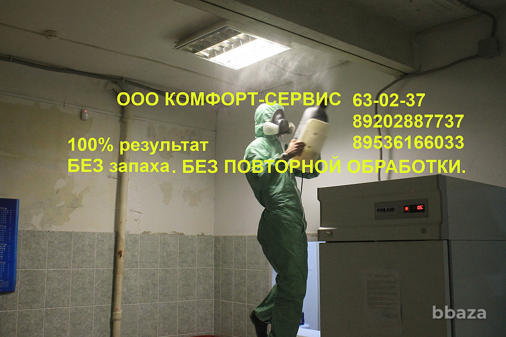 Уничтожение клопов и тараканов БЕЗ повторной обработки через 2 недели Орел - изображение 2