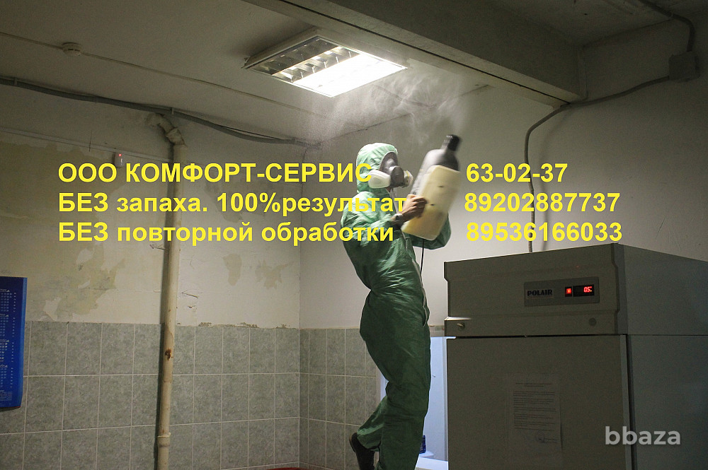 Уничтожение клопов и тараканов БЕЗ повторной обработки через 2 недели Орел - изображение 3