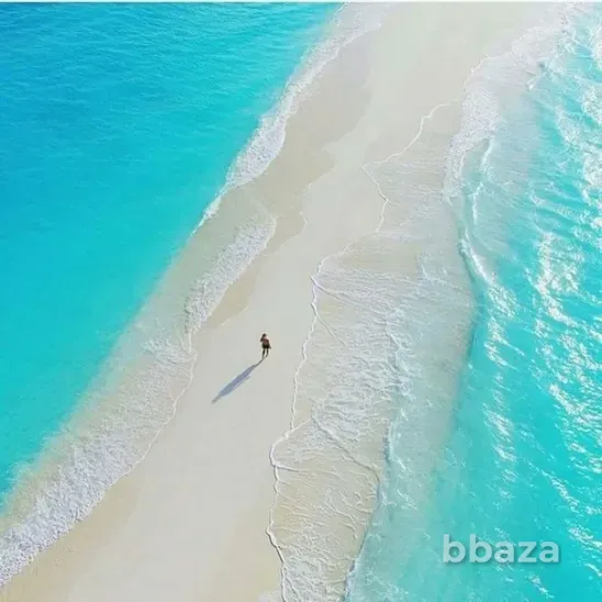 продам ооо Санкт-Петербург - изображение 1