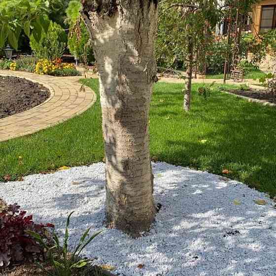 Мульча Анапа