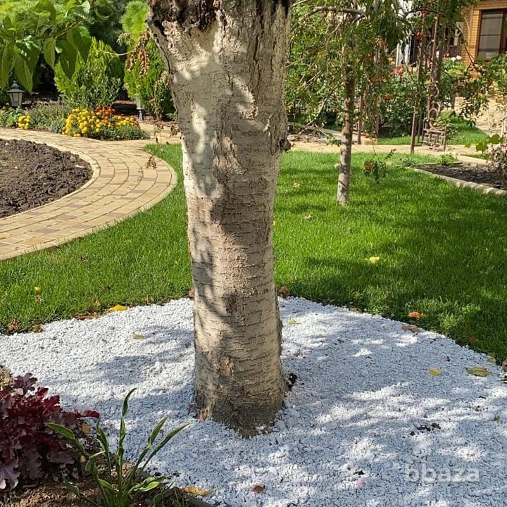 Мульча Анапа - изображение 3