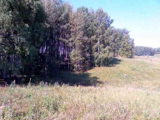 Продам Сельскохозяйственный Участок Пенза