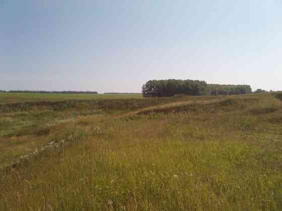 Продам Сельскохозяйственный Участок Пенза