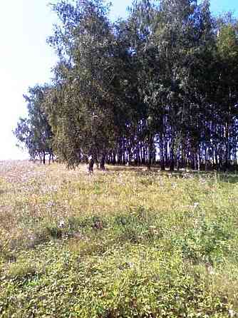 Продам Сельскохозяйственный Участок Пенза