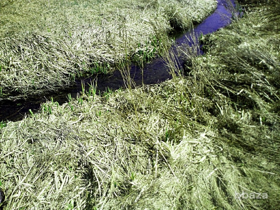 Продам Сельскохозяйственный Участок Пенза - изображение 4