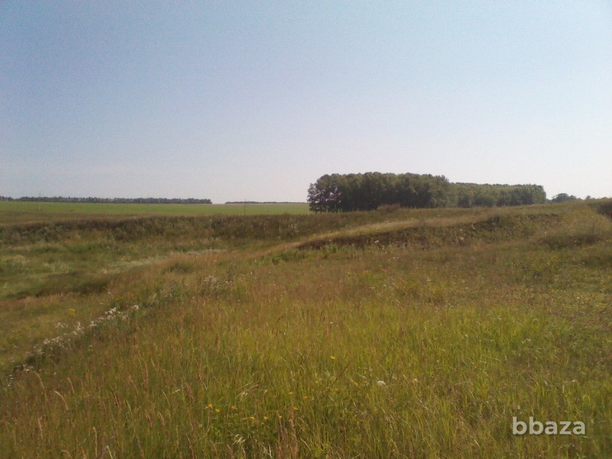 Продам Сельскохозяйственный Участок Пенза - изображение 1